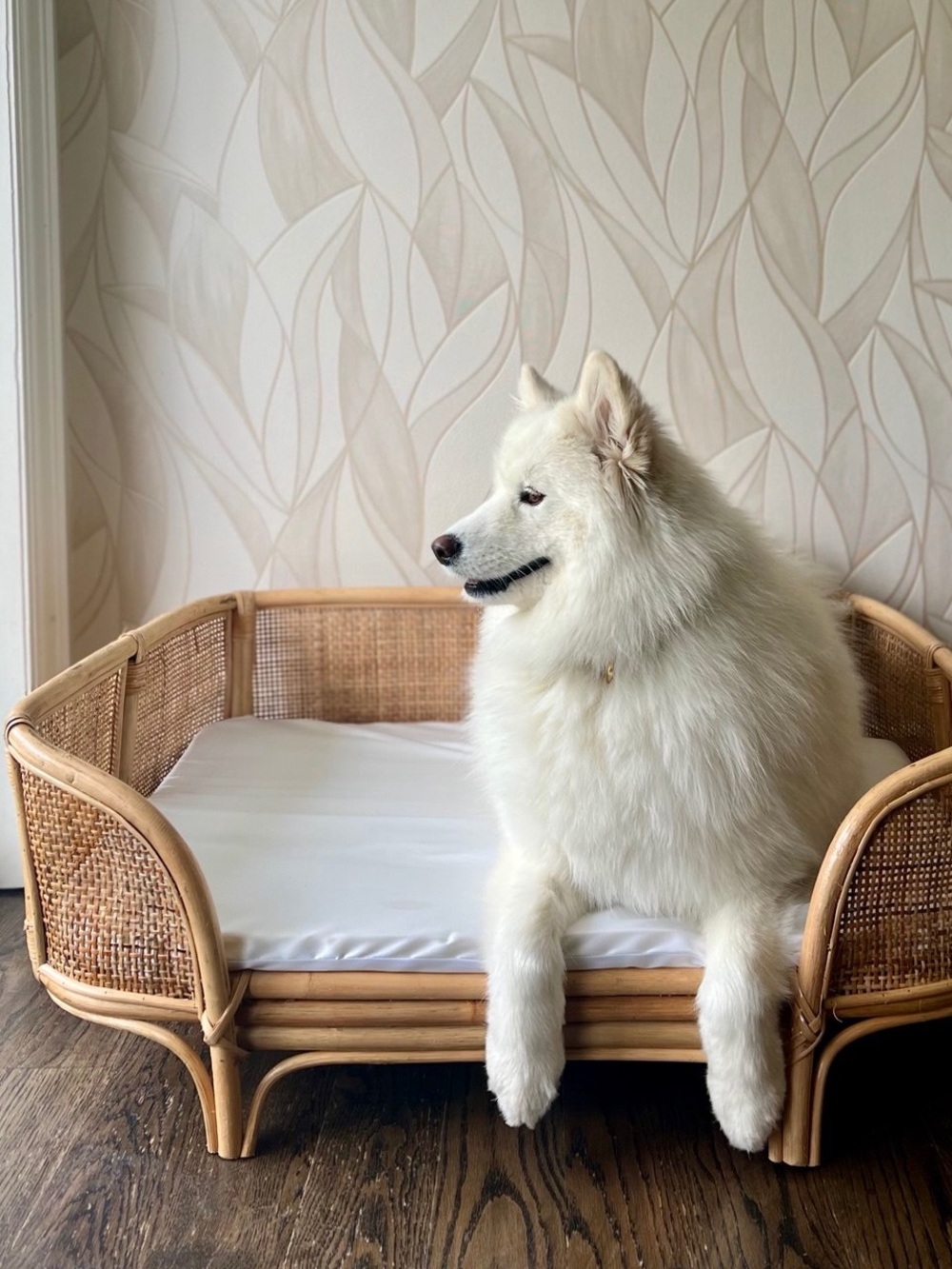 Host pick ✨LARGE - Unique Handmade Bamboo pet bed with cushion ( removable cover